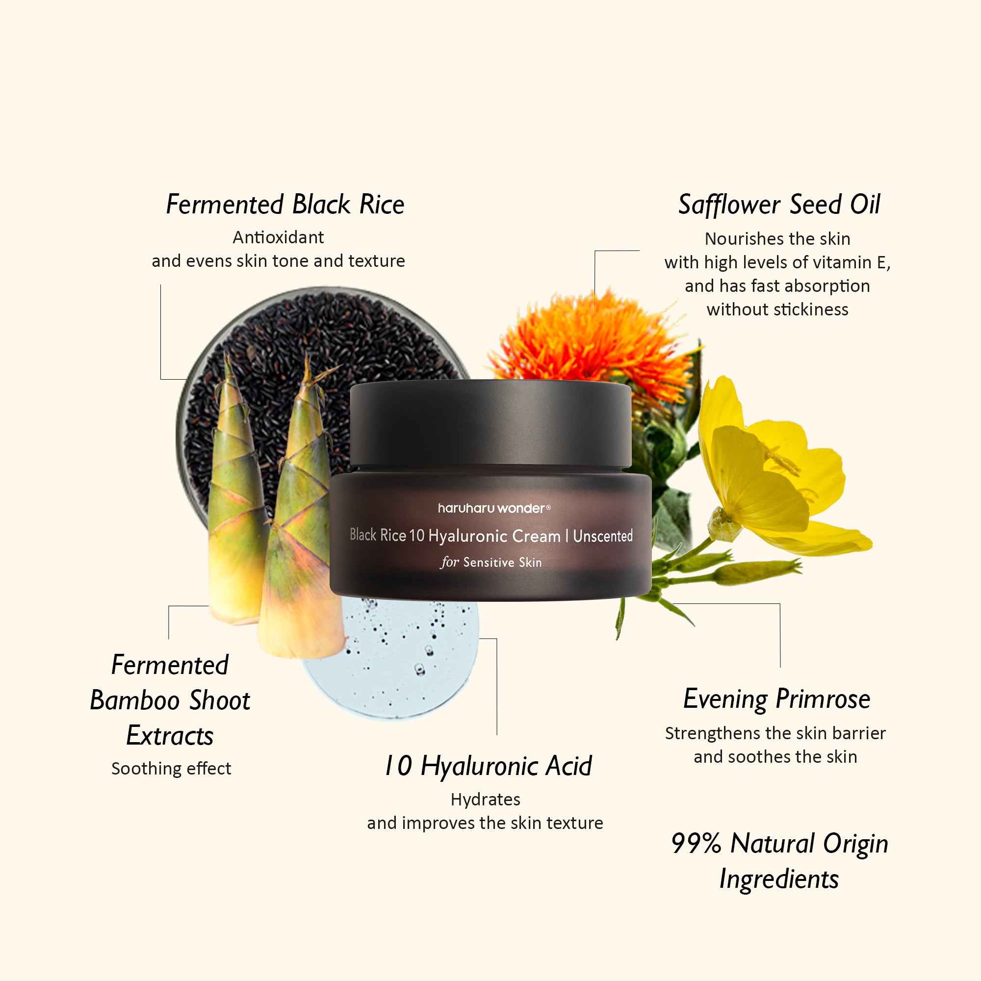 [haruharuwonder] Black Rice 10 Hyaluronic Cream 50ml (Unscented)