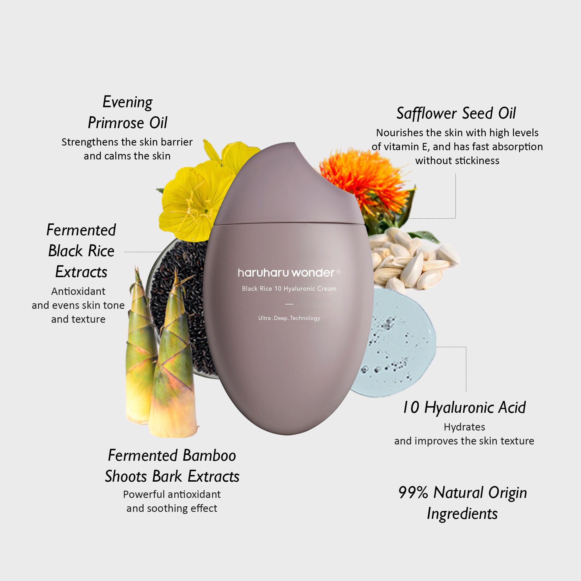 [haruharuwonder] Black Rice 10 Hyaluronic Cream - 2Size