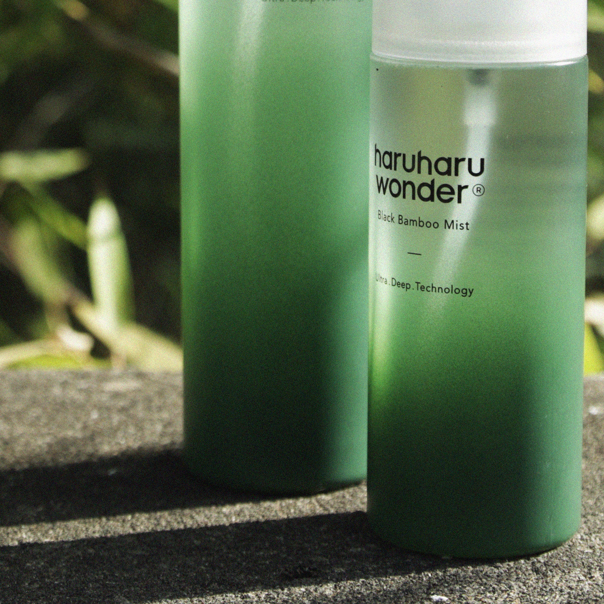 [haruharuwonder] Black Bamboo Mist - 2Size