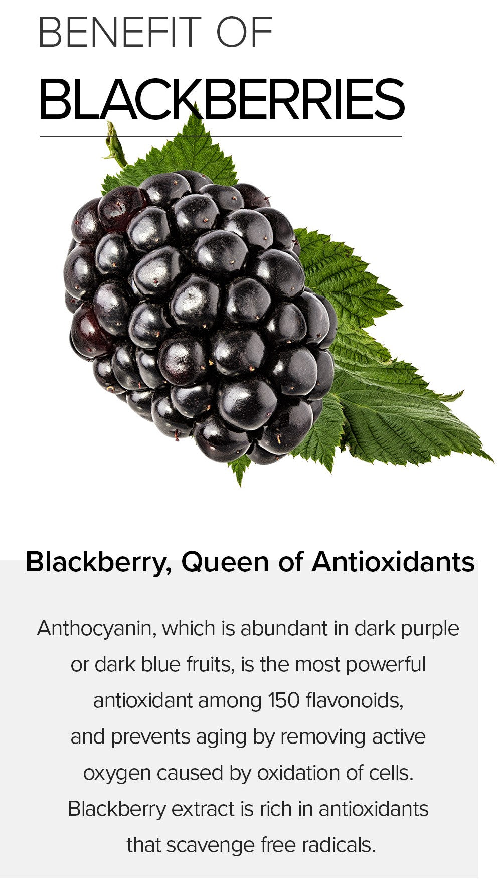 [Mary&May] Idebenone + Blackberry Complex Serum - 30ml