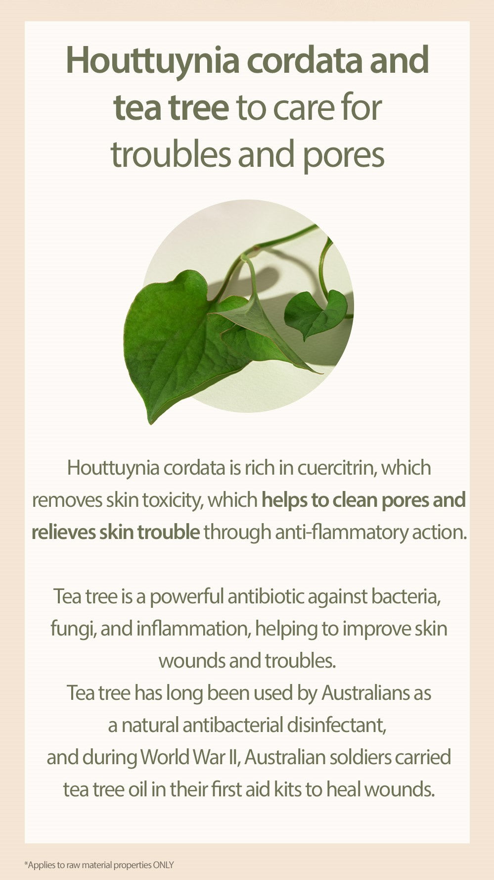 [Mary&May] Houttuynia Cordata + Tea Tree Cleansing Foam - 150ml