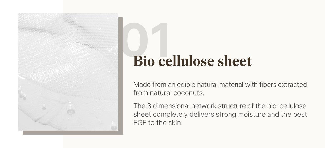 [Reblocell] Flossom Regenerating Facial Mask EGF 1ppm 1 Sheet