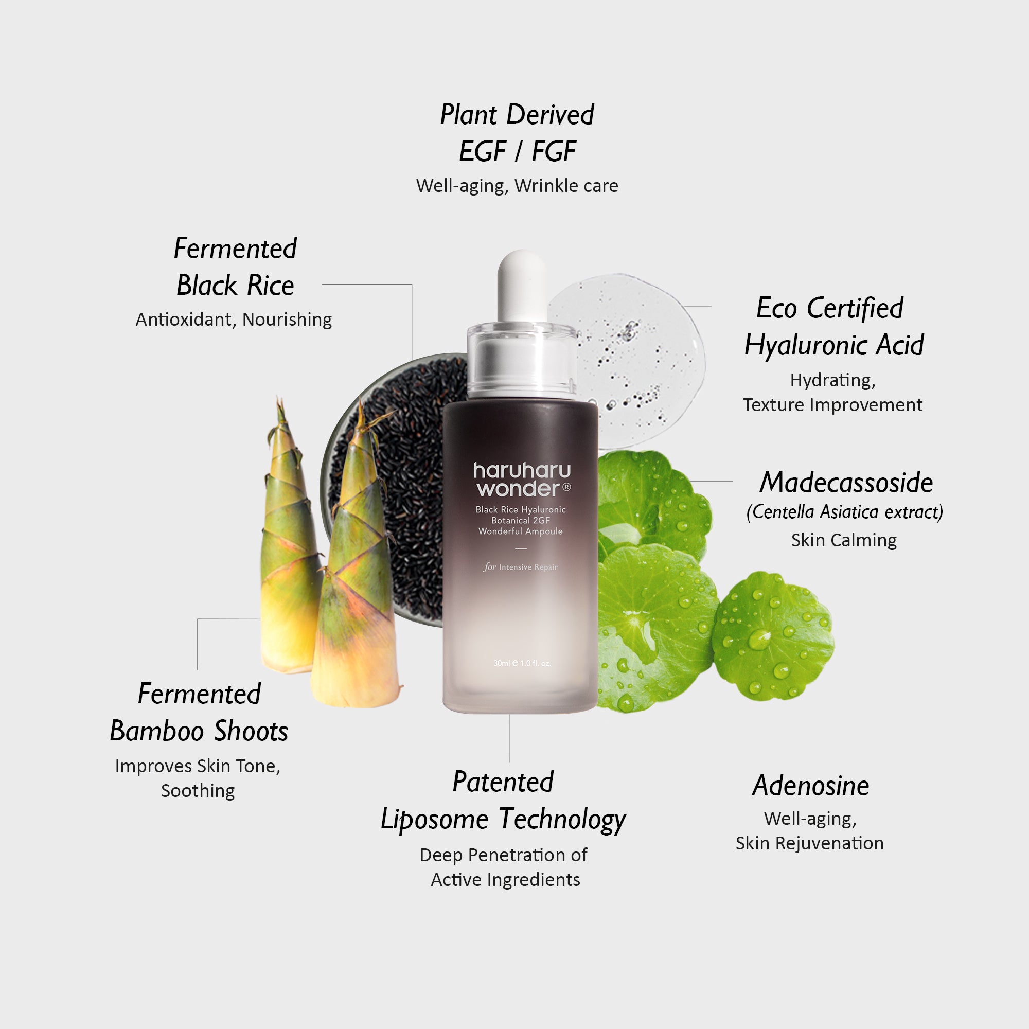 [haruharuwonder] Black Rice Hyaluronic Botanical 2GF Wonderful Ampoule 30ml