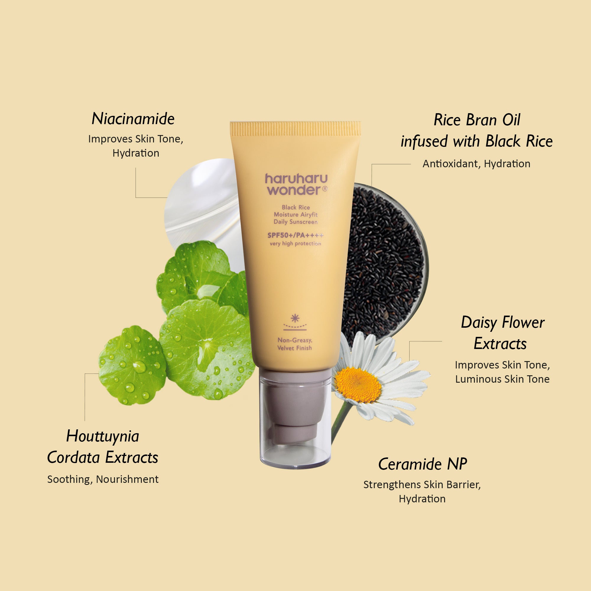[haruharuwonder] Black Rice Moisture Airyfit Daily Sunscreen Unscented SPF50+ 50ml