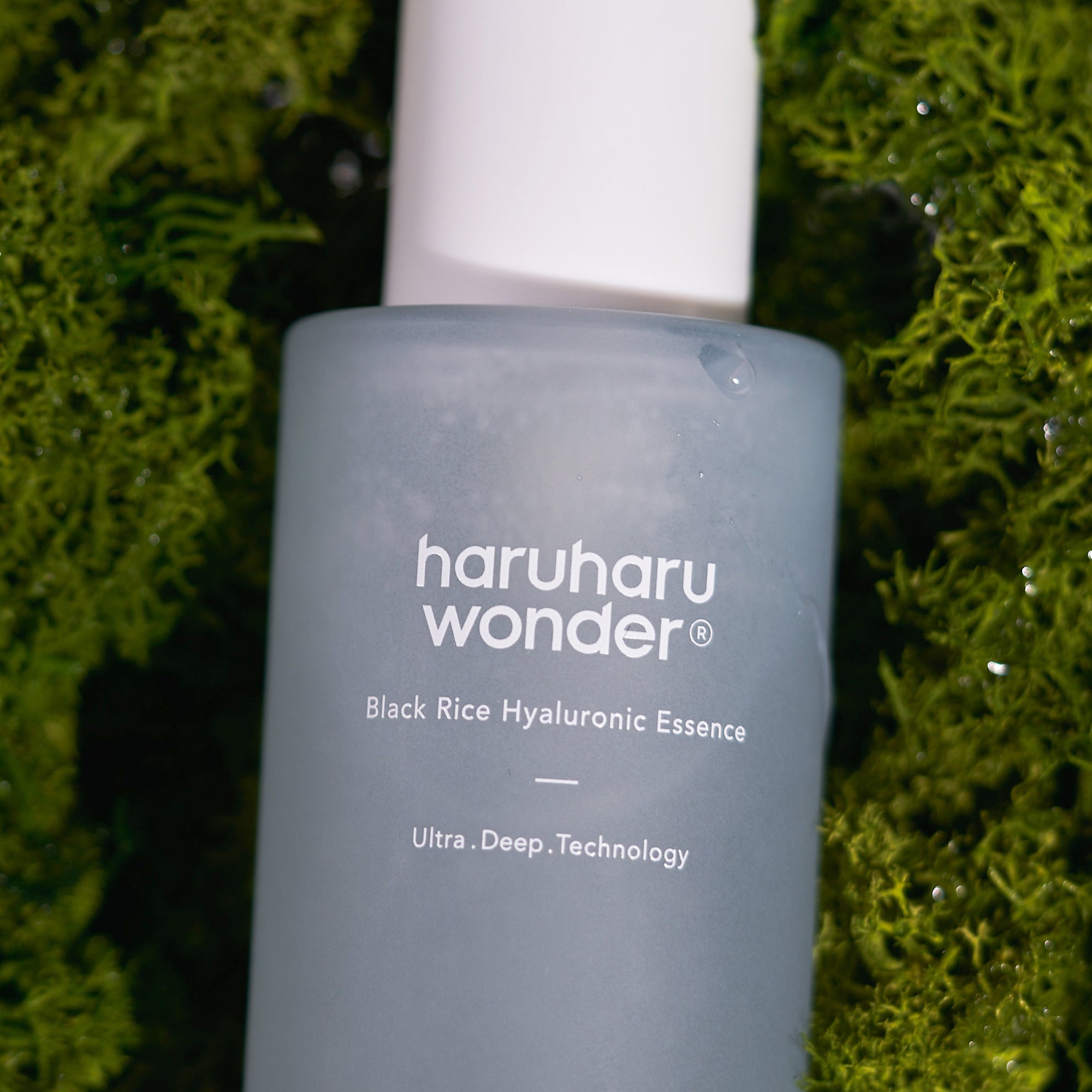 [Haruharuwonder] Black Rice Hyaluronic Essence 50ml