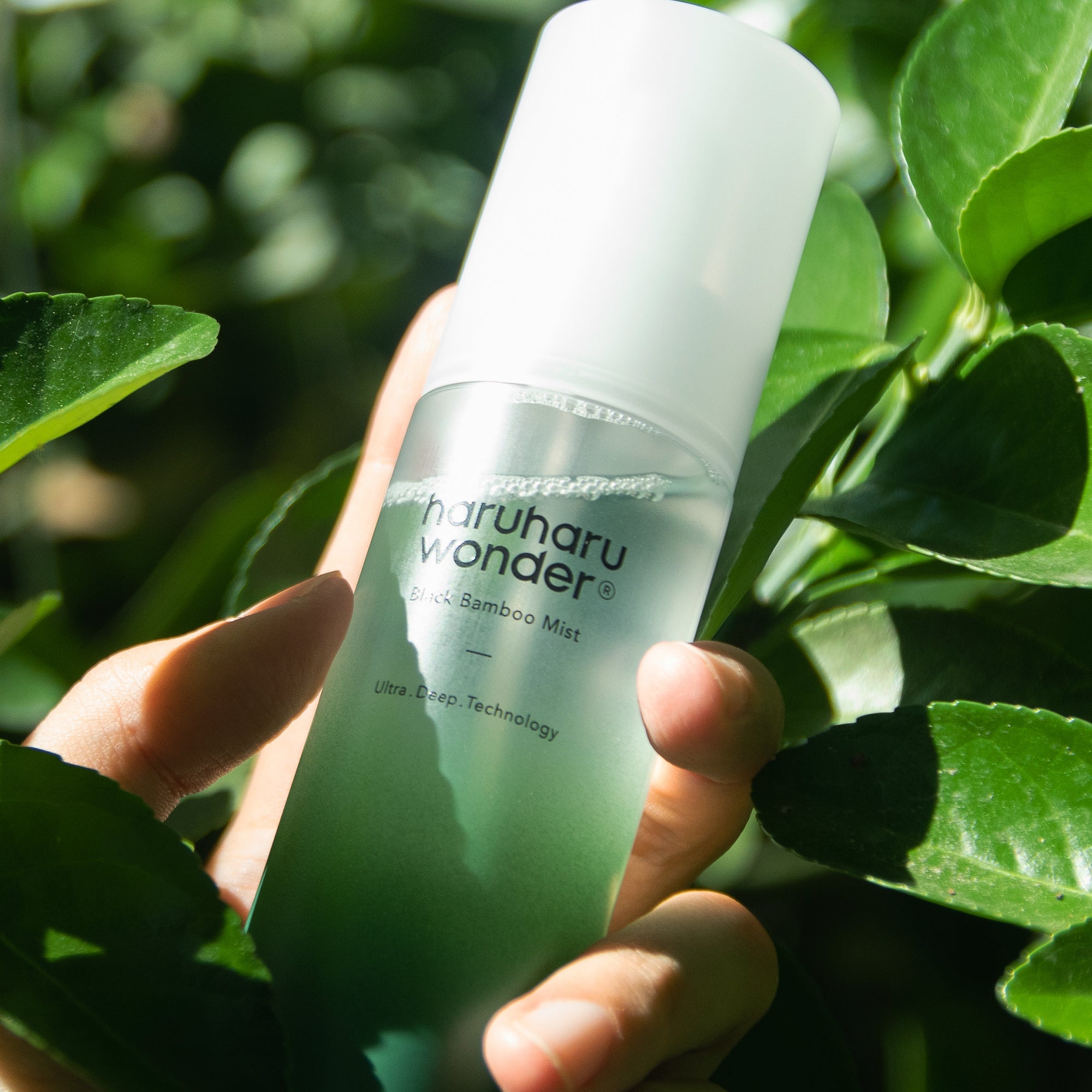 [haruharuwonder] Black Bamboo Mist - 2Size
